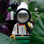 Lego explorer figure with magnifying glass